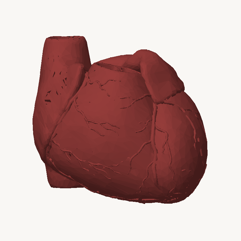 Static adult heart reference